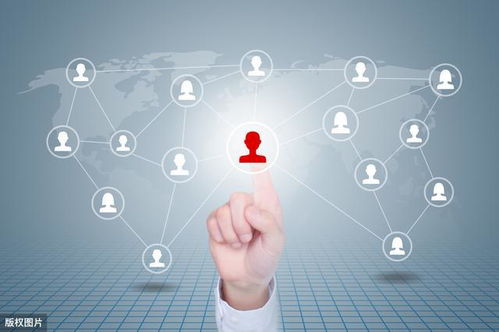 互聯網時代 三種行之有效的網絡推廣方式賦能企業信息系統軟件開發